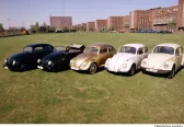 Pięć historycznych Volkswagenów Garbusów w rzędzie na trawie przed fabryką w Wolfsburgu — roczniki od 1938 do 1976.