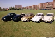 Pięć historycznych Volkswagenów Garbusów w rzędzie na trawie przed fabryką w Wolfsburgu — roczniki od 1938 do 1976.