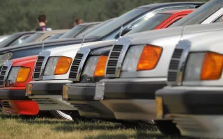 Szereg »beczek« W124 — youngtimery, które jeszcze niedawno były zwykłymi starymi Mercedesami, a dziś ustawiają się w kolejce po status klasyka.